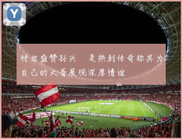 特尔盛赞孙兴慜是热刺传奇称其为自己的大哥展现深厚情谊
