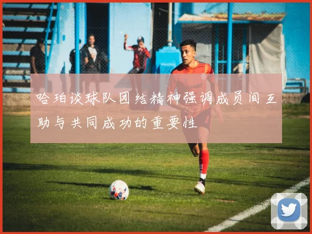 哈珀谈球队团结精神强调成员间互助与共同成功的重要性