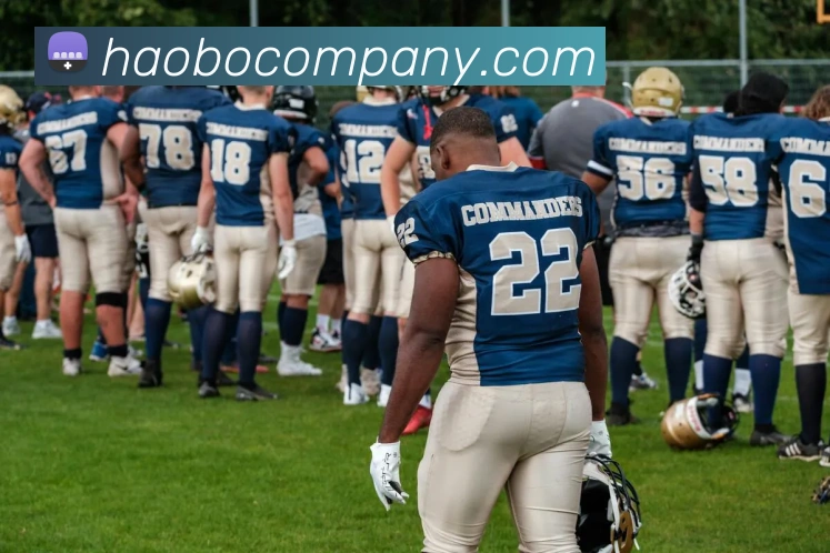 App Interface Preview