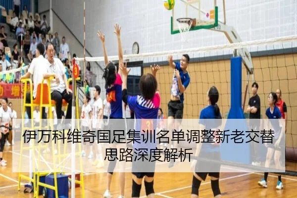 伊万科维奇国足集训名单调整新老交替思路深度解析 - HaoBo