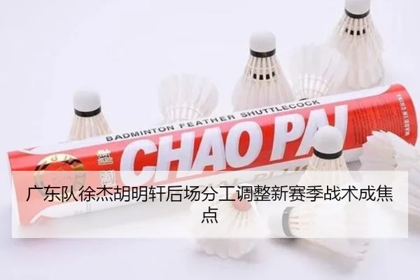 广东队徐杰胡明轩后场分工调整新赛季战术成焦点（HaoBo）